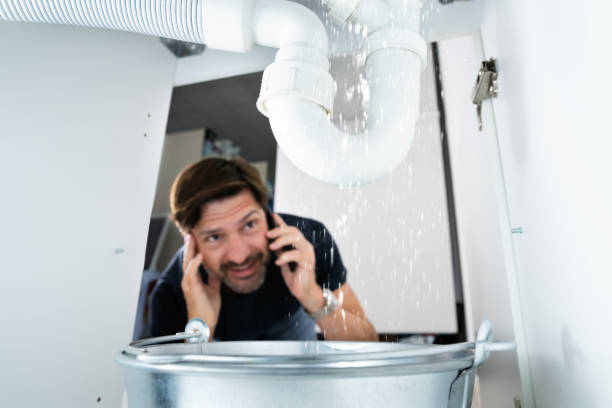 Best Local Plumber Services  in Union Springs, NY